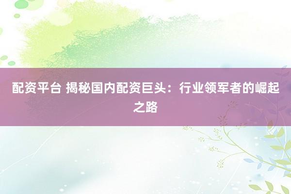 配资平台 揭秘国内配资巨头：行业领军者的崛起之路
