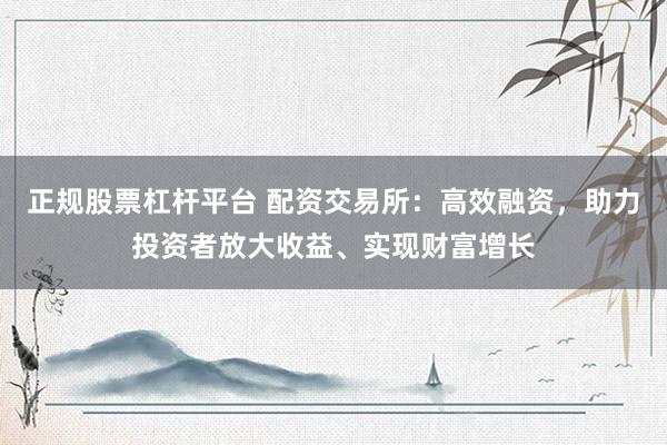 正规股票杠杆平台 配资交易所：高效融资，助力投资者放大收益、实现财富增长