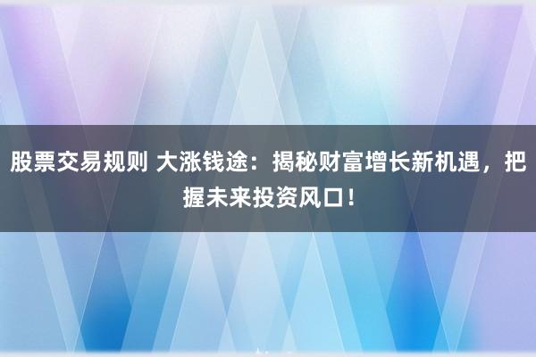 股票交易规则 大涨钱途：揭秘财富增长新机遇，把握未来投资风口！