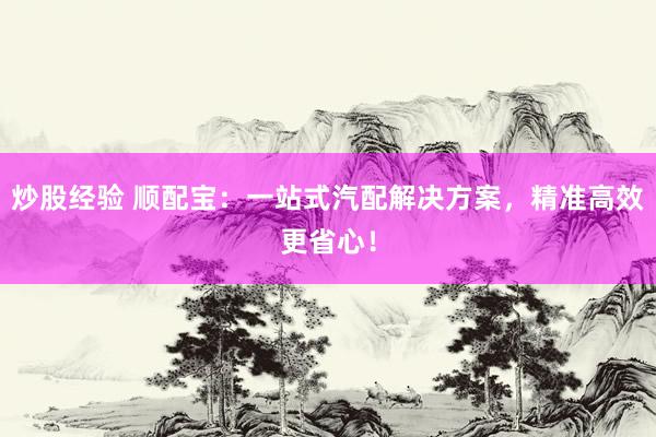 炒股经验 顺配宝：一站式汽配解决方案，精准高效更省心！