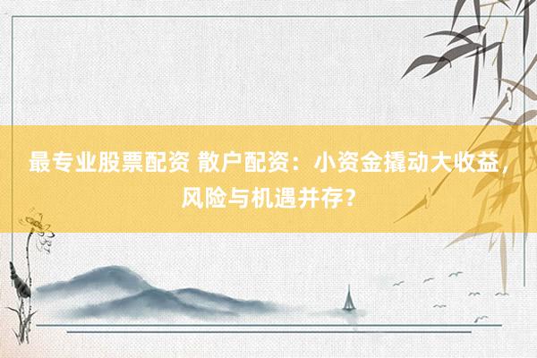 最专业股票配资 散户配资：小资金撬动大收益，风险与机遇并存？