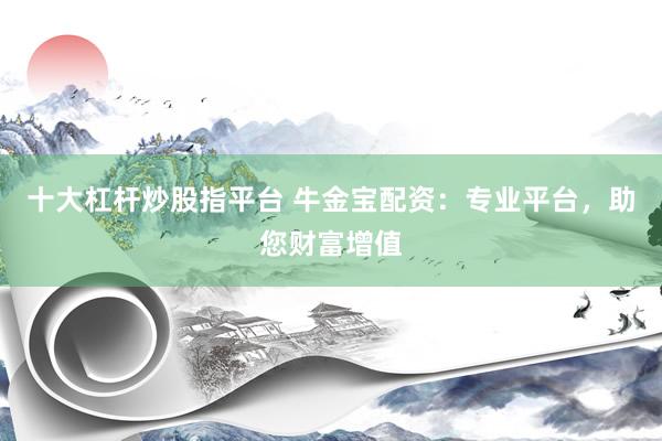 十大杠杆炒股指平台 牛金宝配资：专业平台，助您财富增值