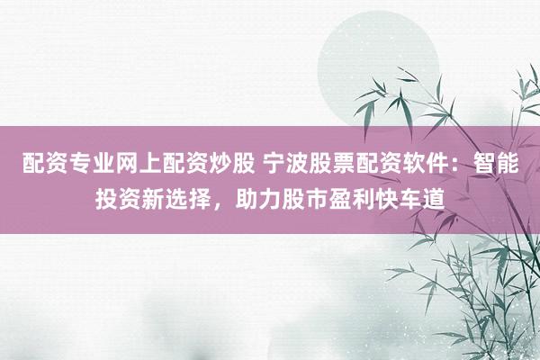 配资专业网上配资炒股 宁波股票配资软件：智能投资新选择，助力股市盈利快车道