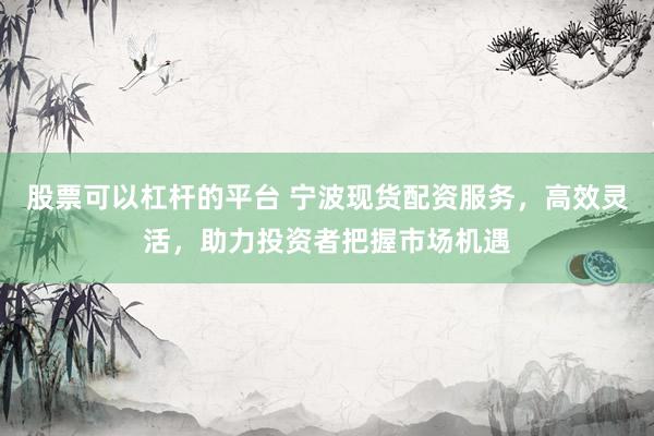 股票可以杠杆的平台 宁波现货配资服务，高效灵活，助力投资者把握市场机遇