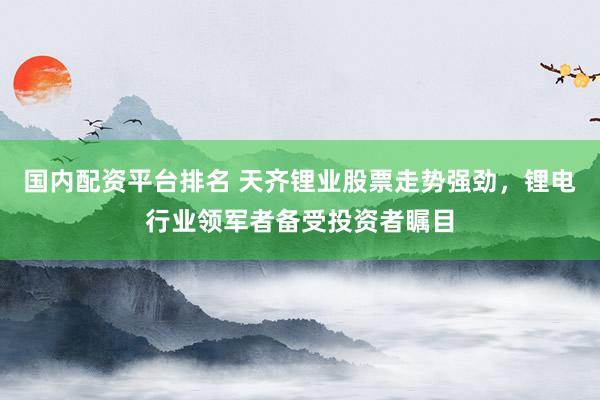 国内配资平台排名 天齐锂业股票走势强劲，锂电行业领军者备受投资者瞩目