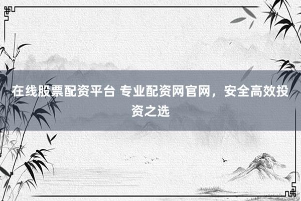在线股票配资平台 专业配资网官网,安全高效投资之选