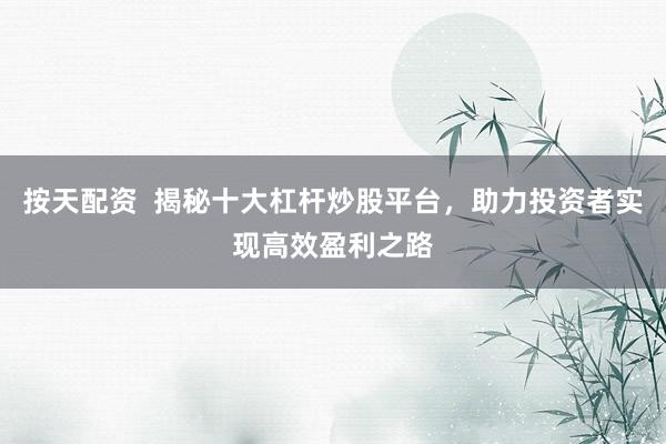 按天配资  揭秘十大杠杆炒股平台,助力投资者实现高效盈利之路