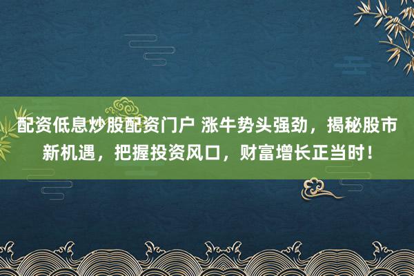 配资低息炒股配资门户 涨牛势头强劲，揭秘股市新机遇，把握投资风口，财富增长正当时！