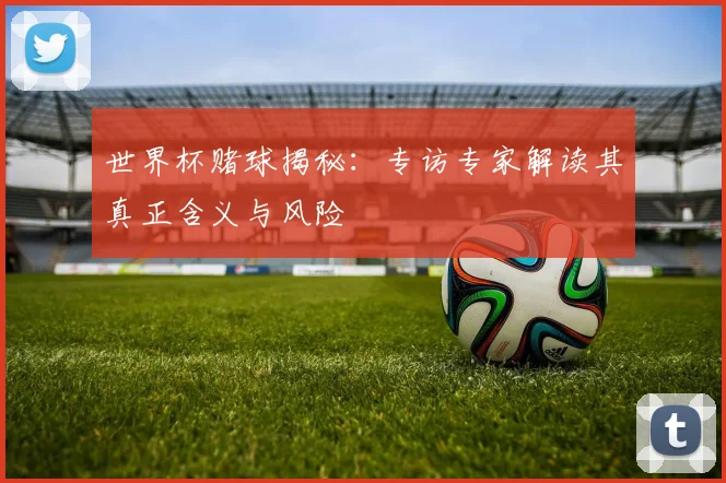 世界杯赌球揭秘:专访专家解读其真正含义与风险