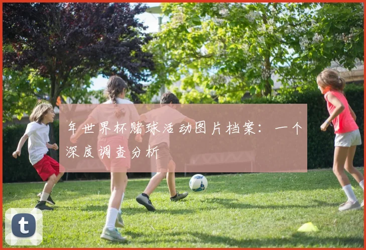 年世界杯赌球活动图片档案：一个深度调查分析