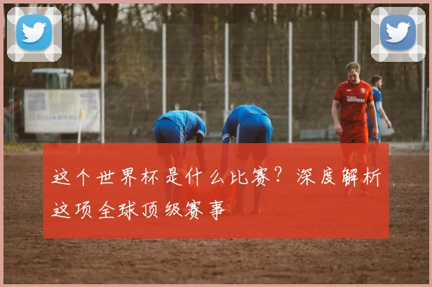 这个世界杯是什么比赛？深度解析这项全球顶级赛事